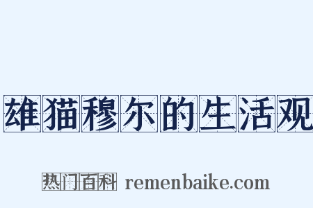 雄猫穆尔的生活观是什么意思的图片